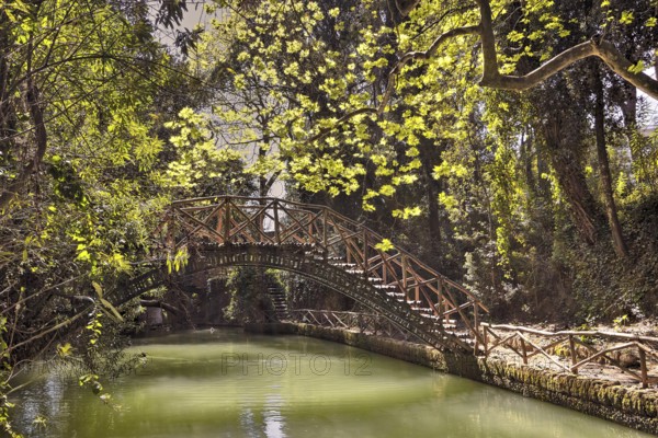 Wooden bridge over a quiet pond in the middle of a green forest, Rodini Park, City Park, Rhodes Town, Rhodes, Dodecanese, Greek Islands, Greece, Europe