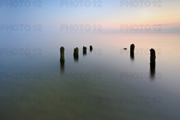 Old posts with algae in the water on the Baltic Sea beach, long exposure at sunset, Fischland-Darß-Zingst peninsula, Western Pomerania Lagoon National Park, Mecklenburg-Western Pomerania, Germany, Europe