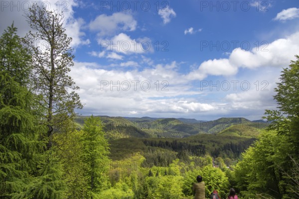 View of the southern Palatinate Forest from the summit of the Eiderberg