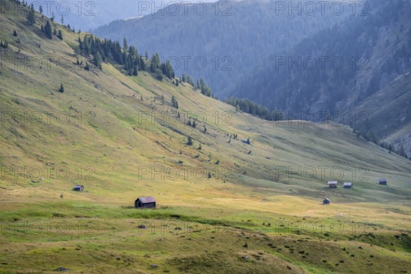 Alpine pasture landscape, Alpine meadows and huts, Carnic main ridge, Carnic High Trail, Carnic Alps, Carinthia, Austria, Europe