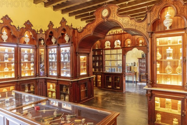 Antique apothecary museum with illuminated wooden display cases full of jars, Jerez