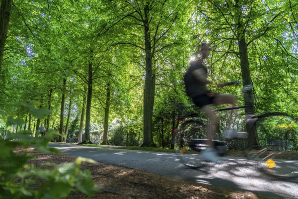 Promenade cycle path, tree-lined, car-free, approximately 4.5 km long ring road around the city centre of Münster, North Rhine-Westphalia, Germany, Europe