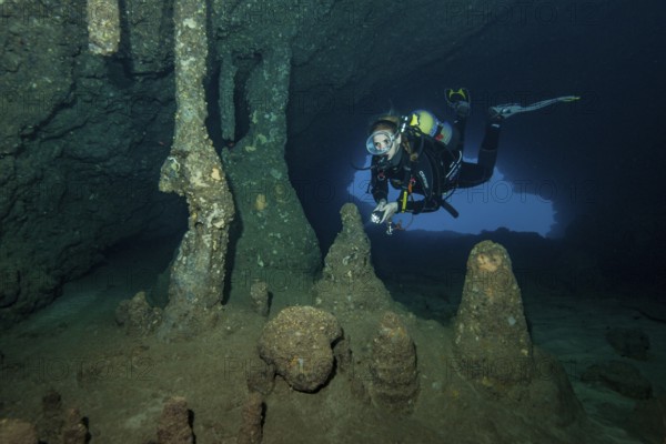 Scuba diver female diver swimming dives in entrance area of underwater cave stalactite cave underwater with stalactites stalagmite formations off east coast of Majorca, Mediterranean Sea, Balearic Islands, Majorca, Spain, Europe