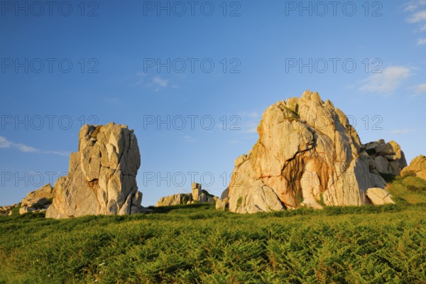 Large boulders in the evening light surrounded by ferns on the Pink Granite Coast in Brittany, Pors Scaff, Côtes-d'Armor, France, Europe
