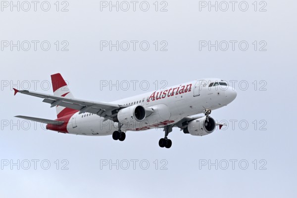 Aircraft Austrian Airlines, Airbus A320-200, OE-LBL