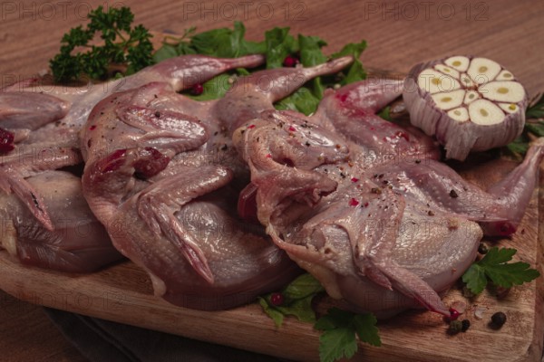 Raw quail meat, on a cutting board, with spices and herbs, top view