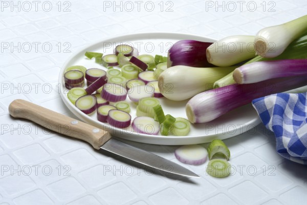 White and purple spring onions and onion slices in their skins, spring onion