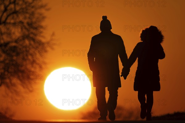 A couple walks along a country lane near Frankfurt am Main at sunset, Frankfurt am Main, Hesse, Germany, Europe