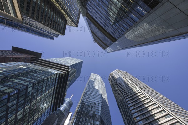 The towers of Frankfurt's banking skyline rise into the sky, Frankfurt am Main, Hesse, Germany, Europe