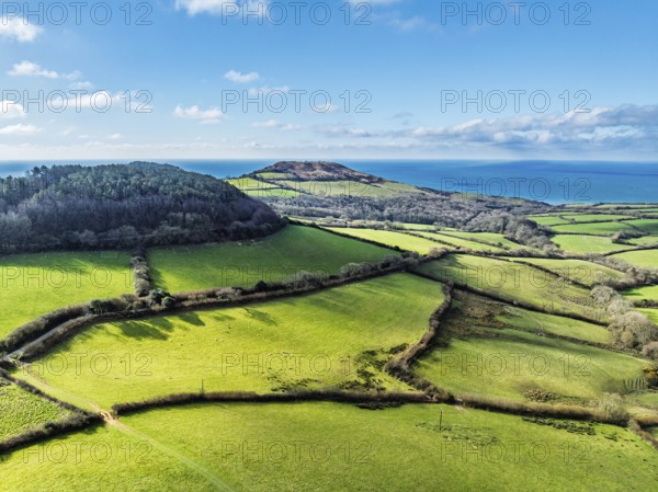 Farms over Road A35 from a drone, Morcombelake Village, Bridport, Dorset, England, United Kingdom, Europe