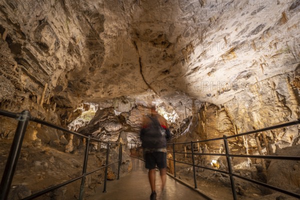 Tourist walking on a concrete walkway inside the famous postojna cave in slovenia, admiring the stalactites and stalagmites during a guided tour