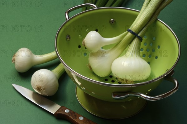 Onion, spring onions in sieve pot