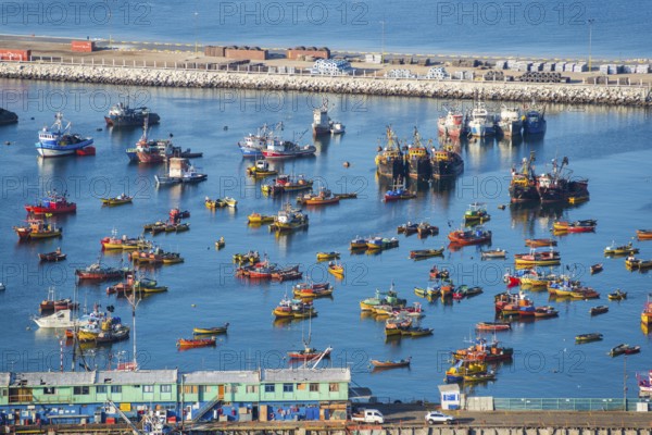 View from the Morro de Arica lookout mountain of the small colourful ships and boats in the fishing harbour, city of Arica, Chile, South America