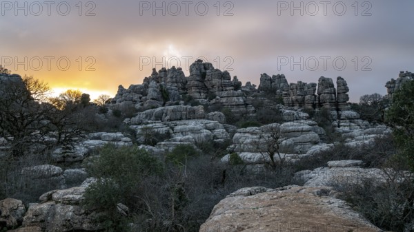 Bizarre limestone rock formations, El Torcal nature reserve, Torcal de Antequera, Malaga province, Andalusia, Spain, Europe