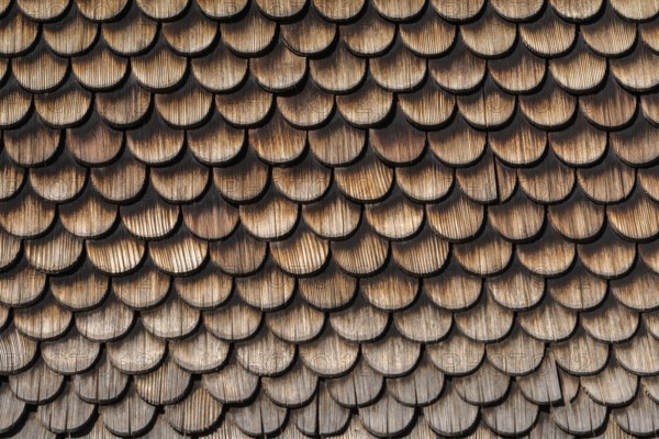 Schwarzenberg, Bregenz district, old wooden shingle, house wall, detail, Bregenzerwald, Voralberg, Austria, Europe
