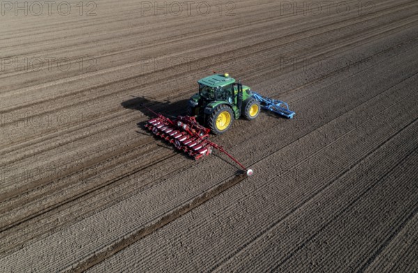 Sugar beet being sown in spring, precision sowing with precision seed drill, behind a tractor, Niederkrüchten, North Rhine-Westphalia, Germany, Europe