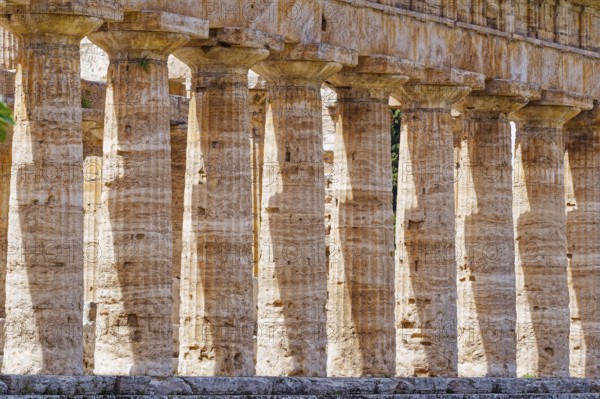 Paestum archaeological site and ruins, UNESCO World Heritage Site, in the province of Salerno. Paestum, Capaccio, Campania, Italy, Southern Europe, Europe