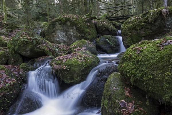 Gertelbach, Gertelbach Waterfalls, Gertelbach Falls, Gertelbach Gorge, Bühl, Bühlertal, Northern Black Forest, Black Forest, Baden-Württemberg, Germany, Europe