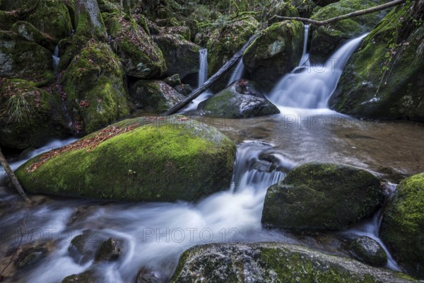 Gertelbach, Gertelbach Waterfalls, Gertelbach Falls, Gertelbach Gorge, Bühl, Bühlertal, Northern Black Forest, Black Forest, Baden-Württemberg, Germany, Europe