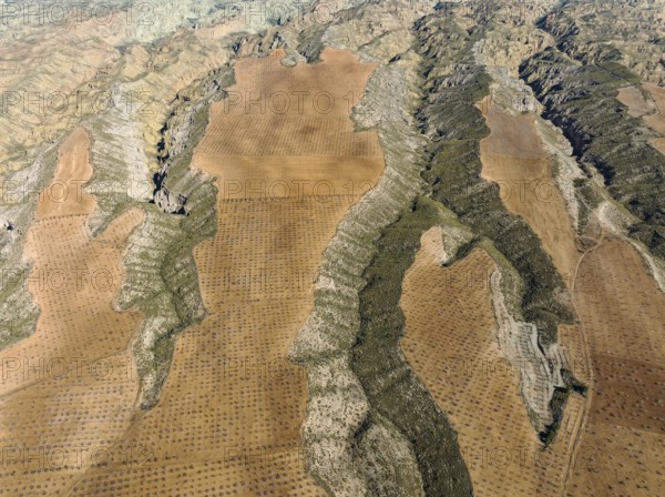 Canyons and gorges cut into the surrounding cultivated land, aerial view, drone shot, Gorafe Desert, UNESCO Granada Geopark, Granada province, Andalusia, Spain, Europe
