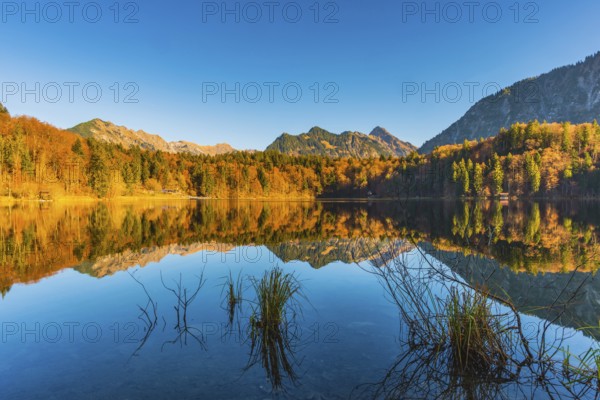 Freibergsee, near Oberstdorf, with the Allgäu Alps behind, Allgäu, Bavaria, Germany, Europe