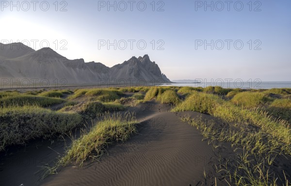 Black beach with volcanic sand, sandy beach, dunes with grass, Stokksnes headland, Klifatindur mountain range, Austurland, East Iceland, Iceland, Europe