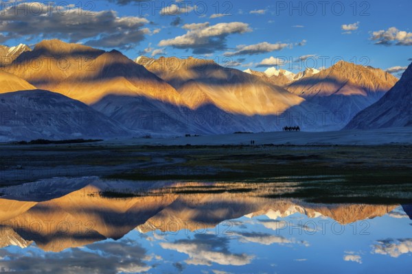 Himalayas on sunset with camel caravan. Hunber, Nubra valley, Ladakh, India, Asia