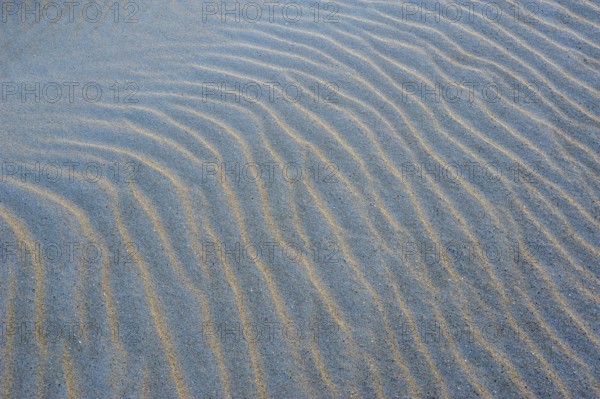 De Hors beach, near Den Hoorn, wave pattern in the sand, Texel island, North Holland, Netherlands