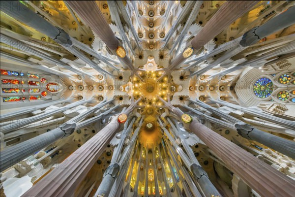 Interior of the Familia Sagrada, religion, Christianity, by the architect Antonio Gaudi in Barcelona, Spain, Europe