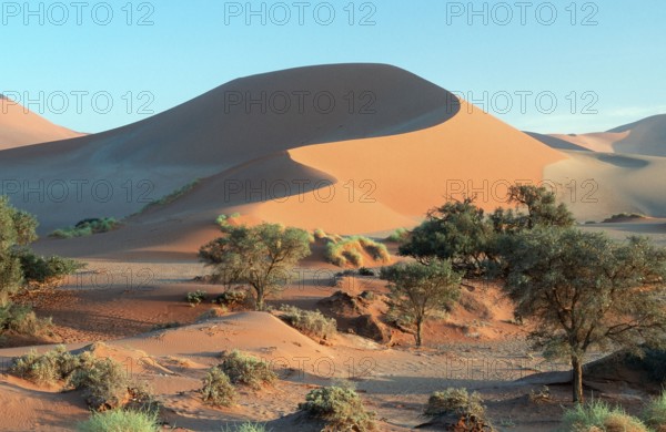 Sand Dunes, Soussusvlei, Namib Desert, Namibia, Africa