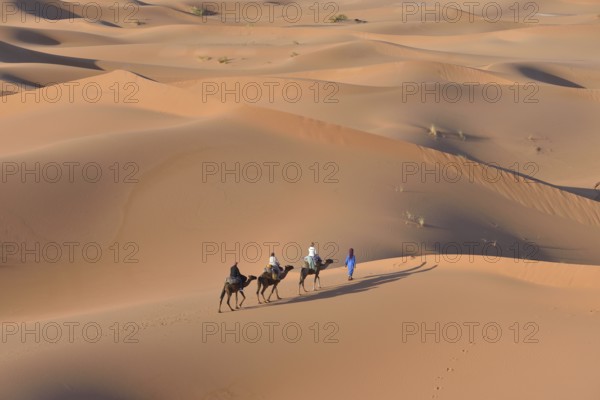 Tourists riding on camels through the dunes, Sahara, Merzouga, Meknès-Tafilalet region, Morocco, Africa