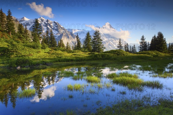 Eiger, Mönch, Bernese Oberland, Switzerland, Europe