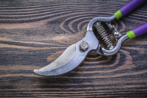 Sharp metal pruning shears on vintage wood board gardening concept