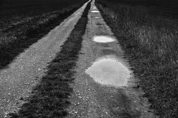 A path with puddles, Upper Weser Valley, Weser Uplands, Weserbergland, Hesse, Germany, Europe