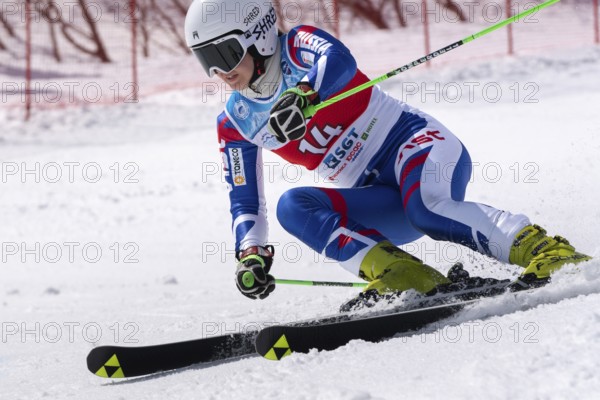 KAMCHATKA PENINSULA, RUSSIAN FEDERATION, APRIL 1, 2019: Mountain skier Darya Shustrova St. Petersburg skiing down snowy mountain slope. Russian Women s Alpine Skiing Championship, giant slalom
