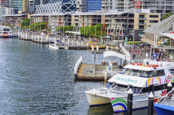 Aquarium Wharf next to the historic Pier 26 and in font of the Sea Life Sydney Aquarium in Darling Harbour, Sydney, NSW, Australia, Oceania