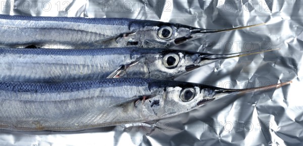 Three little needle fish, uncooked macro studio shot