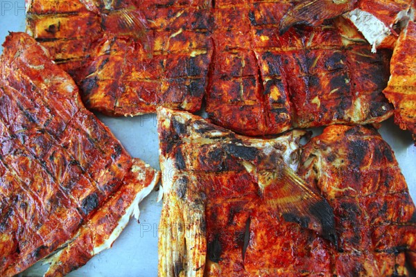 Grilled amberjack fish achiote tikinchick sauce Mayan recipe Mexico