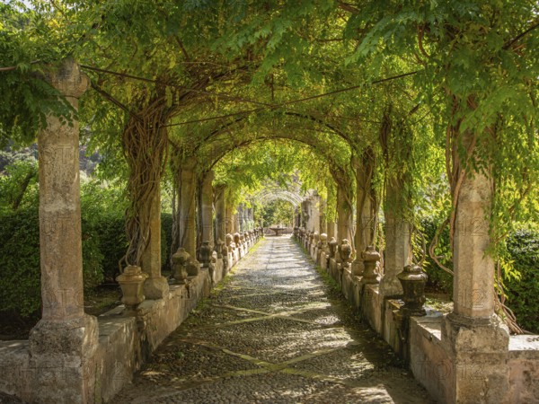Pergola with lush green vegetation and columns lining a shady path, Jardines de Alfabia, Bunyola, Majorca, Spain, Europe
