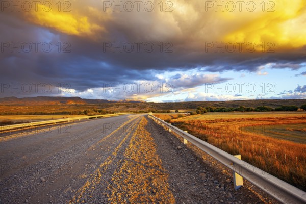 Gigantic scenic thundercloud permeated by lightning strikes and illuminated by the sunset. The steppe is overgrown with orange grasses. Argentina and the road Ruta 40