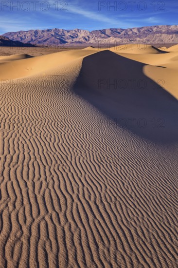 Bright solar morning in picturesque part of Death Valley. Slopes of sandy barkhans shine orange light. Deep shadows in flat hollows. Mesquite Flat Sand Dunes