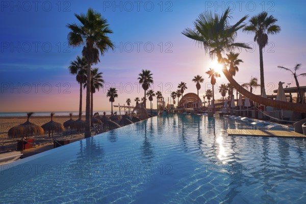 Resort pool in the beach with palm trees at sunrise