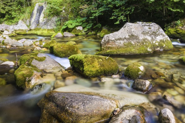 Creek and little waterfall in the Ligurian Alps, during summer season