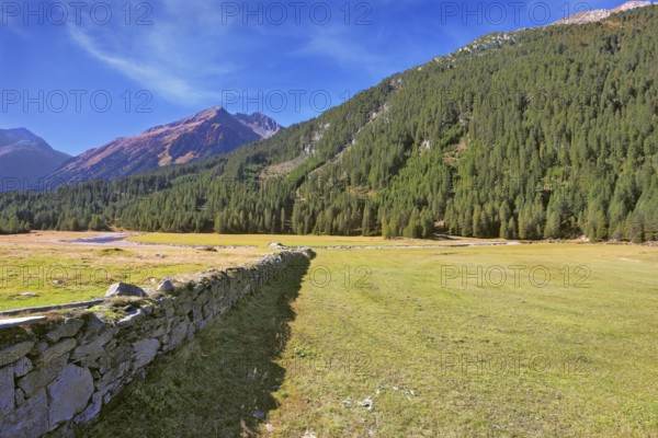 Scenic farm fields blocked by the stone fence. Shadow of the low fence beautifully lie on the grass. Alpine Valley in Austria. National Park Krimml waterfalls