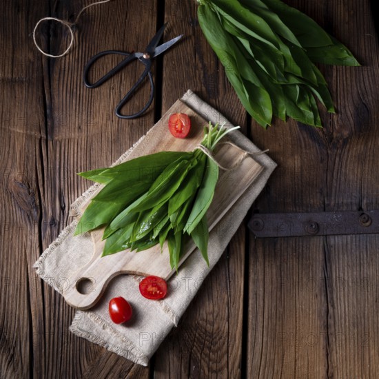 Allium ursinum fresh wild garlic with many valuable vitamins