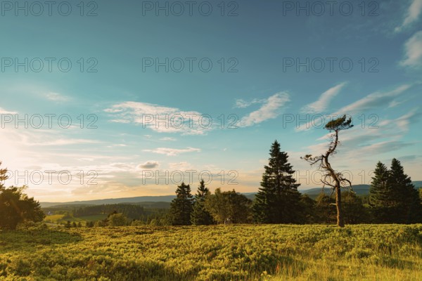 German beauty Rothaargebirge