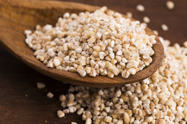Barley groats on wooden spoon
