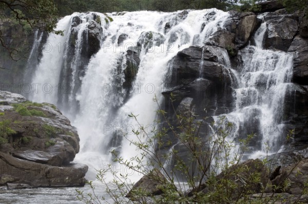 A Thoovanam waterfall over the rocks in tremendous speed Munnar Kerala India Asia