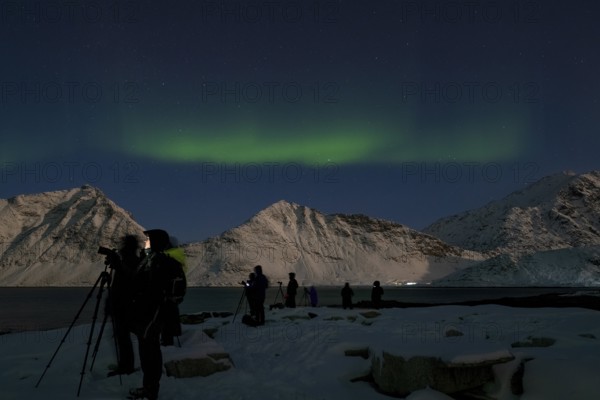Northern Lights (Aurora borealis), aurora borealis, series of photographers, Lofoten, Norway, Europe