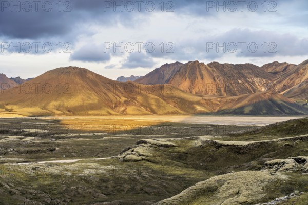 Evening miking in the highlands of Iceland, taken near the highland valley Landmannalaugar in Suðurland, Iceland, Europe